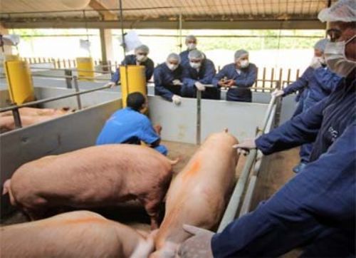 La biocontención, nuevo concepto de seguridad en las granjas