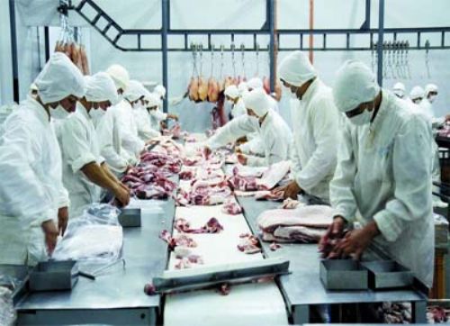 En Paraguay planean exportar carne de cerdo a Argentina