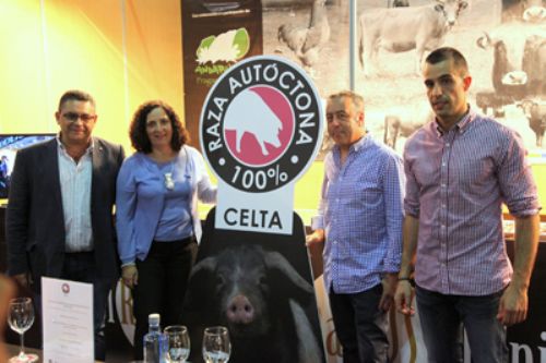 El Porco Celta presentó oficialmente su sello 100% Raza Autóctona