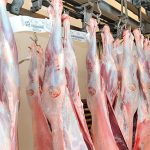 Dicen los analistas que caerá la producción mundial de carne de cerdo en 2025