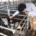 Don Valentín se alzó con varios premios en la Expo de Otoño en Río Cuarto