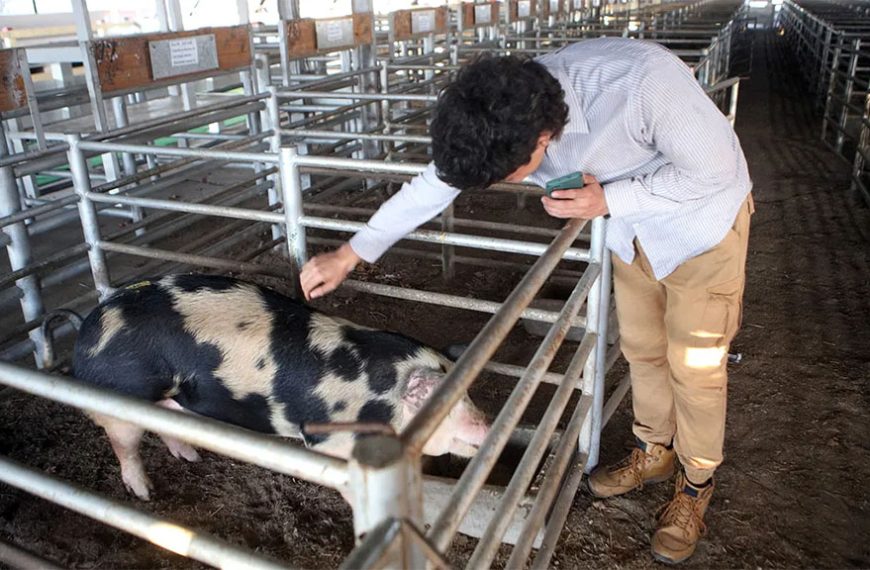 Don Valentín se alzó con varios premios en la Expo de Otoño en Río Cuarto