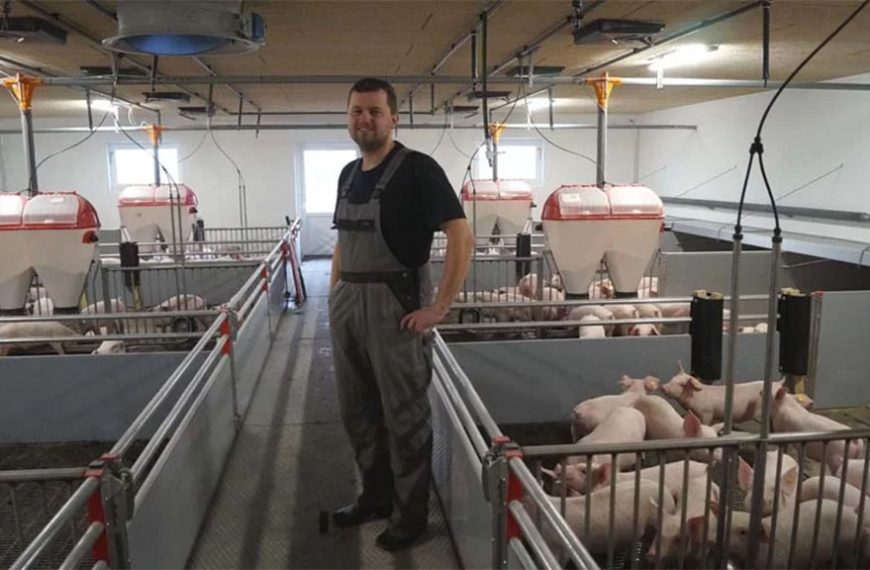 Dinamarca pone más tributos ambientales a productores porcinos