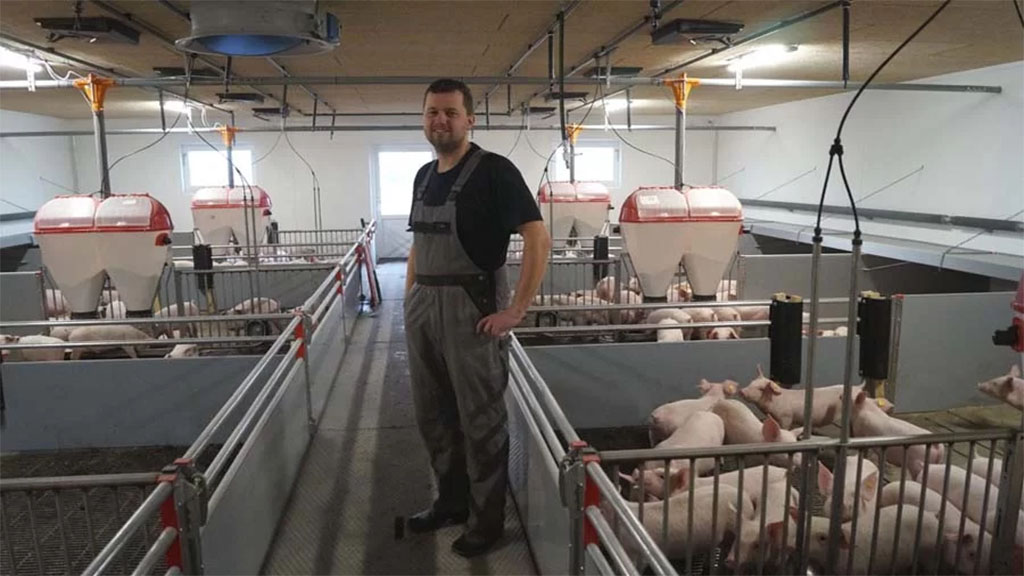 Dinamarca pone más tributos ambientales a productores porcinos
