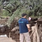 En Córdoba, la triquinosis juega de local