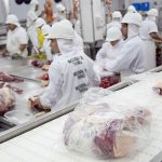 Filipinas es nuevo destino de carne de cerdo argentino